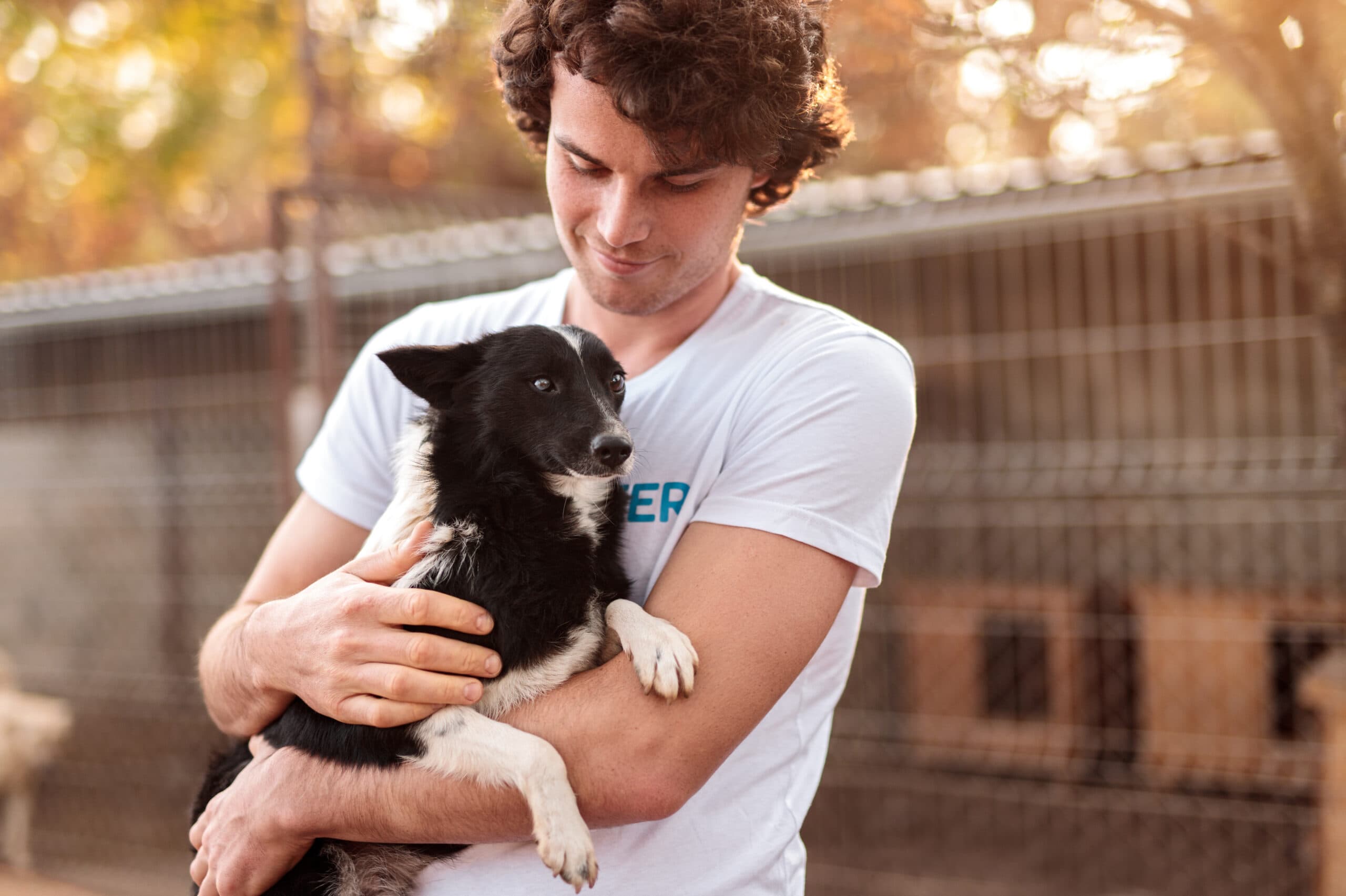 Volunteer holding puppy at shelter.